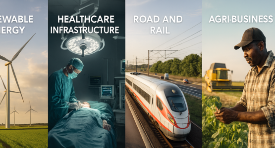 Public Private Partnership Advisory